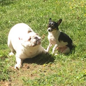 Meet your Posher, Katie